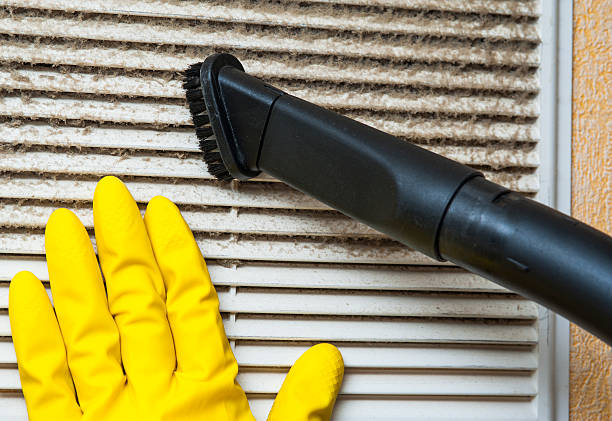Best Local Air Duct Cleaning Services  in Fritz Creek, AK